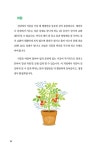 베란다 텃밭에서 식탁 위 K-푸드까지 | 남효경 | 알라딘 베란다 텃밭에서 식탁 위 K-푸드까지 | 남효경