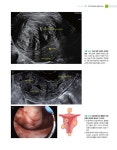 착하게 설명해주는 초음파 | 서울메디칼초음파아카데미 | 알라딘 착하게 설명해주는 초음파 | 서울메디칼초음파아카데미