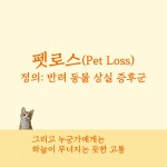 위로가 되신다면 잠시 시간을 멈출게요 | 이건학 | 알라딘 위로가 되신다면 잠시 시간을 멈출게요 | 이건학