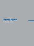 부산 메갈로폴리스 : 혁신을 잇다 | 김영부 | 알라딘 부산 메갈로폴리스 : 혁신을 잇다 | 김영부