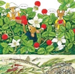 [중고] 산으로 들로 맛있는 딸기 교실 | 마츠오카 다츠히데 글.그림, 김소연 옮김 | 알라딘 [중고] 산으로 들로 맛있는 딸기 교실 | 마츠오카... 