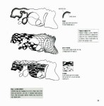 [중고] 크리에이티브 드로잉 | 버트 도드슨 | 알라딘 [중고] 크리에이티브 드로잉 | 버트 도드슨