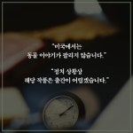 [중고] 동물농장 : 알라딘