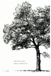 알라딘: 미리보기 - 나의 드로잉 다이어리 : 나무를 그리다 - 전2권