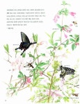 [중고] 세밀화로 보는 꽃과 나비 | 권혁도 글.그림 | 알라딘 [중고] 세밀화로 보는 꽃과 나비 | 권혁도 글.그림