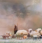 [중고] 리틀성경동화 6 : 이스라엘의 조상 아브라함 | 알라딘 [중고] 리틀성경동화 6 : 이스라엘의 조상 아브라함