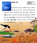 물, 샘에서 큰바다까지 : 알라딘