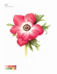 보타니컬 아트 컬러링북 : 플라워 편 : 알라딘