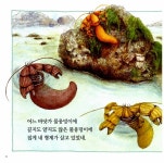 [중고] 집게네 네 형제 : 알라딘
