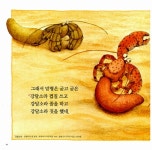 [중고] 집게네 네 형제 : 알라딘