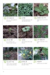 알라딘: [중고] 주말 농장일기 [중고] 주말 농장일기