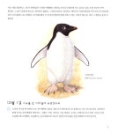 펭귄과 함께 쓰는 남극 일기 | 소피 웹 글 그림, 이충호 옮김 | 알라딘 펭귄과 함께 쓰는 남극 일기 | 소피 웹 글 그림, 이충호 옮김