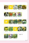 [중고] 산과 들에 자생하는 약초백과 : 알라딘