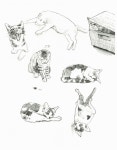 지금 시작하는 동물 드로잉 | 지금 시작하는 드로잉 | 오은정 | 알라딘 지금 시작하는 동물 드로잉 | 지금 시작하는 드로잉  | 오은정