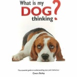 알라딘: WHAT IS MY DOG THINKING THE WORKS (Paperback) WHAT IS MY DOG THINKING THE WORKS (Paperback)