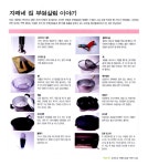 [중고] 소박한 장바구니로 푸짐한 밥상 차리기 : 알라딘
