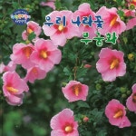 우리 나라꽃 무궁화 | 창의력을 키워주는 과학탐구원리 자연관찰 3... 현진오 감수 | 알라딘 우리 나라꽃 무궁화 | 창의력을 키워주는... 