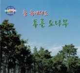 눈 속에서도 푸른 소나무 : 알라딘