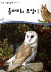 [중고] 올빼미와 부엉이 | 선이경 | 알라딘 [중고] 올빼미와 부엉이 | 선이경