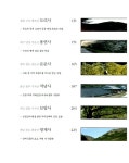 [중고] 산사의 숲, 생명을 품다 | 김재일 | 알라딘 [중고] 산사의 숲, 생명을 품다 | 김재일