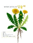 [중고] 우리동네 숲에는 무엇이 살까? | 알라딘 [중고] 우리동네 숲에는 무엇이 살까?