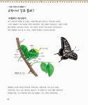 세밀화로 보는 호랑나비 한살이 | 권혁도 세밀화 그림책 시리즈 2... 보는 호랑나비 한살이 | 권혁도 세밀화 그림책 시리즈 2 | 권혁도 글 그림
