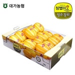 [대가농협 참별미소] 성주참외/5kg/가정용/20-23과 : 알라딘
