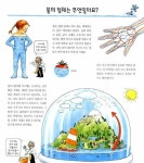 [중고] 집에서 해보는 교과서 실험 : 알라딘