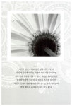알라딘: [중고] 직관의 힘 [중고] 직관의 힘