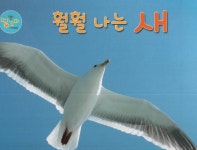 훨훨 나는 새 | 땅꼬마 자연앨범 16 | 초록큰나무 옮김, 김기선 감수 | 알라딘 훨훨 나는 새 | 땅꼬마 자연앨범 16 | 초록큰나무 옮김, 김기선 감수