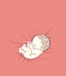 우리들은 자란다 | 길벗어린이 과학그림책 9 | 최혜인 그림, 이은희 글 | 알라딘 우리들은 자란다 | 길벗어린이 과학그림책 9 | 최혜인 그림... 