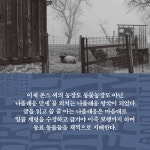 동물농장.파리와 런던의 따라지 인생 (무선) | 문학동네 세계문학전집... 동물농장.파리와 런던의 따라지 인생 (무선) | 문학동네 세계문학전집 37... 