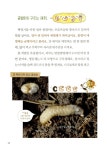 우리 땅 곤충 관찰기 1 : 알라딘