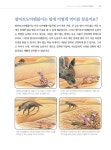 [중고] 진짜 진짜 재밌는 신기한 동물 그림책 : 알라딘