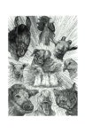 동물 농장 | 보물창고 세계명작전집 9 | 조지 오웰 | 알라딘 동물 농장 | 보물창고 세계명작전집 9 | 조지 오웰