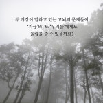 알라딘: 설전 설전