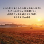 알라딘: [중고] 설전 [중고] 설전