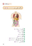 [중고] 테마별 회화 이란(페르시아)어 단어 2300 | 알라딘 [중고] 테마별 회화 이란(페르시아)어 단어 2300