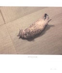 나와 내 고양이의 101가지 공통점 | 홍희선 | 알라딘 나와 내 고양이의 101가지 공통점 | 홍희선