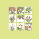 [중고] 하나님의 정원 | 홍성숙 | 알라딘 [중고] 하나님의 정원 | 홍성숙