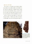 [중고] 문화로 만나는 우리 역사 2 : 알라딘