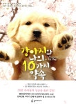 [전자책] 강아지와 나의 10가지 약속 | 사이토 아카리 | 알라딘 강아지와 나의 10가지 약속 | 사이토 아카리