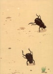 [중고] 생태 더하기 창의미술 : 지중해 | 국립생태원 엮음 | 알라딘 [중고] 생태 더하기 창의미술 : 지중해 | 국립생태원 엮음