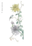 [중고] 색으로 떠나는 산수유람 | 노인연구정보센터 | 알라딘 [중고] 색으로 떠나는 산수유람 | 노인연구정보센터