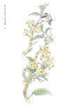 [중고] 색으로 떠나는 산수유람 | 노인연구정보센터 | 알라딘 [중고] 색으로 떠나는 산수유람 | 노인연구정보센터