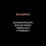 바이올렛아워(VioletHour) | [중고] 바이올렛 아워 | 케이티 로이프 | 알라딘 [중고] 바이올렛 아워 | 케이티 로이프