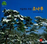 [중고] 겨울에도 푸른 소나무 : 알라딘