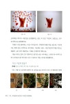 알라딘: [중고] 그림책과 놀아요 [중고] 그림책과 놀아요
