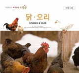 닭.오리 : 알라딘