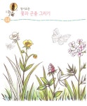창의력 미술놀이 | 김연수 | 알라딘 창의력 미술놀이 | 김연수
